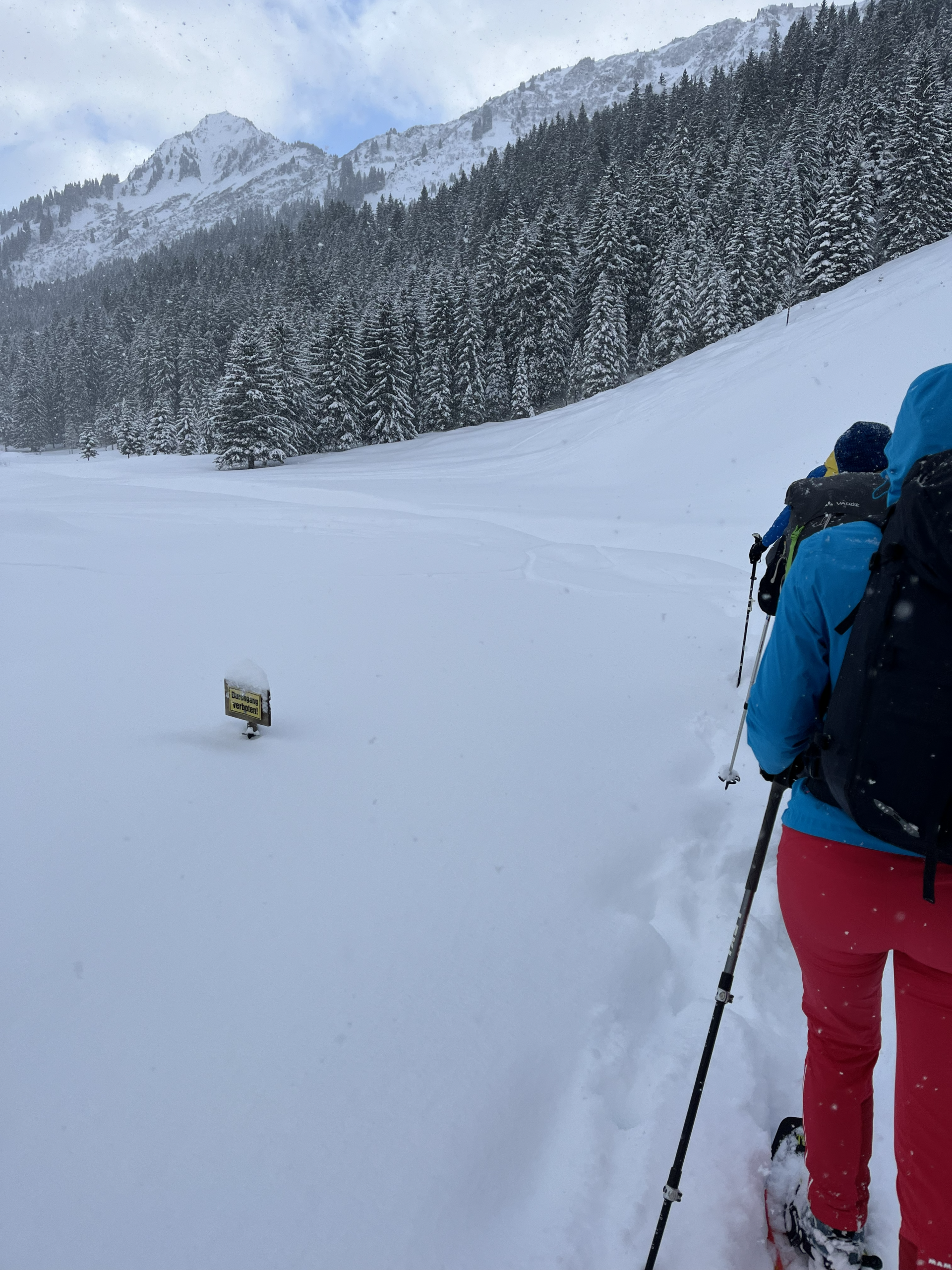 Gruppe auf Schneeschuhtour in tiefem Pulverschnee im Schwarzwassertal, verschneiter Bergwald und verschneite Hänge im Hintergrund. - fotografiert von Bergkompass Bergwanderführer Pascal Schirmer